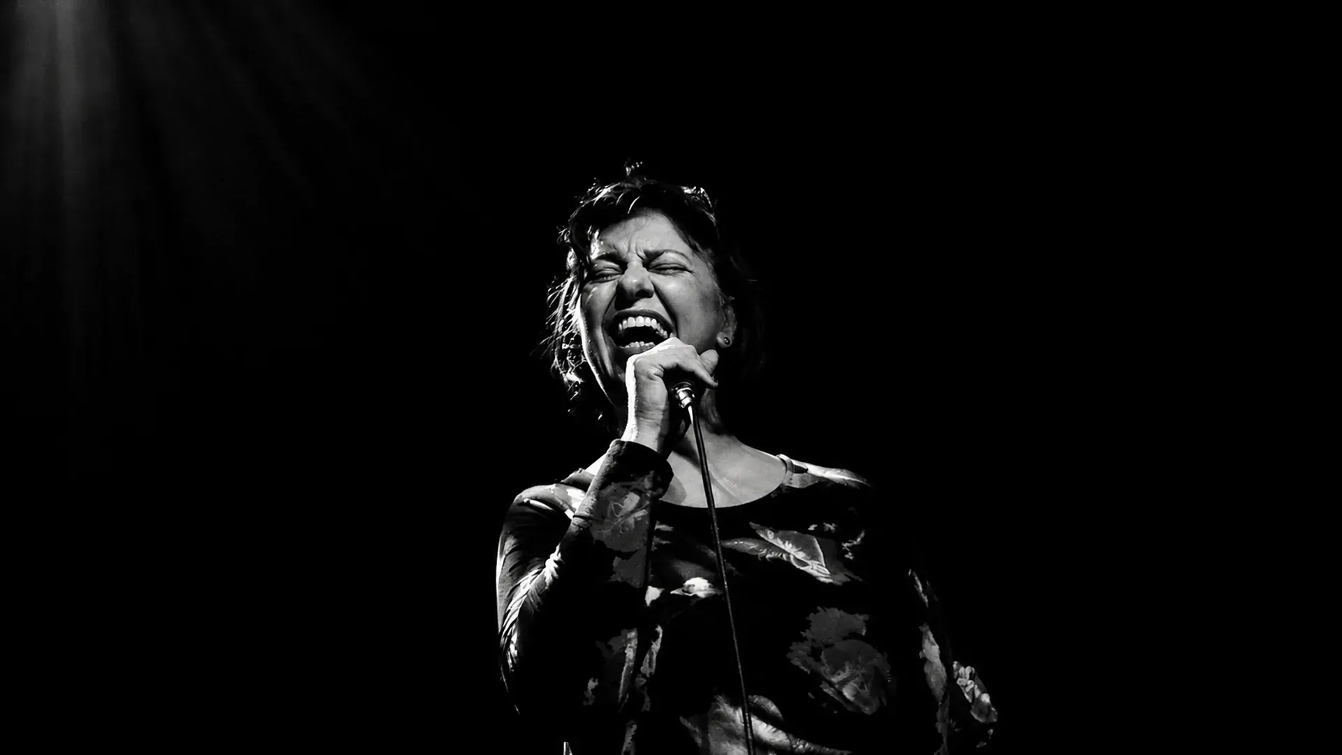 JCN | Liane Carrol Trio