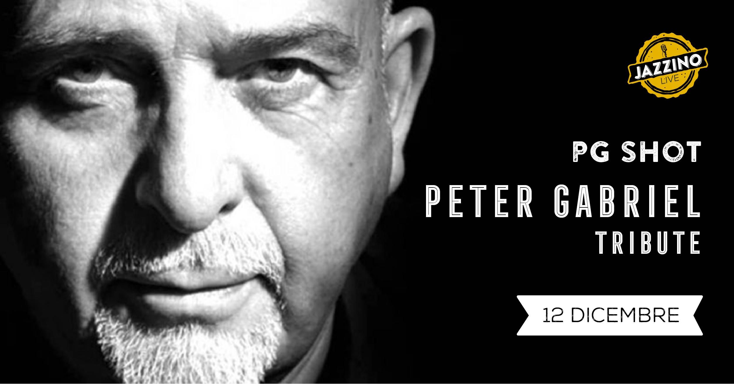 PG Shot - Peter Gabriel Tribute - Live at Jazzino