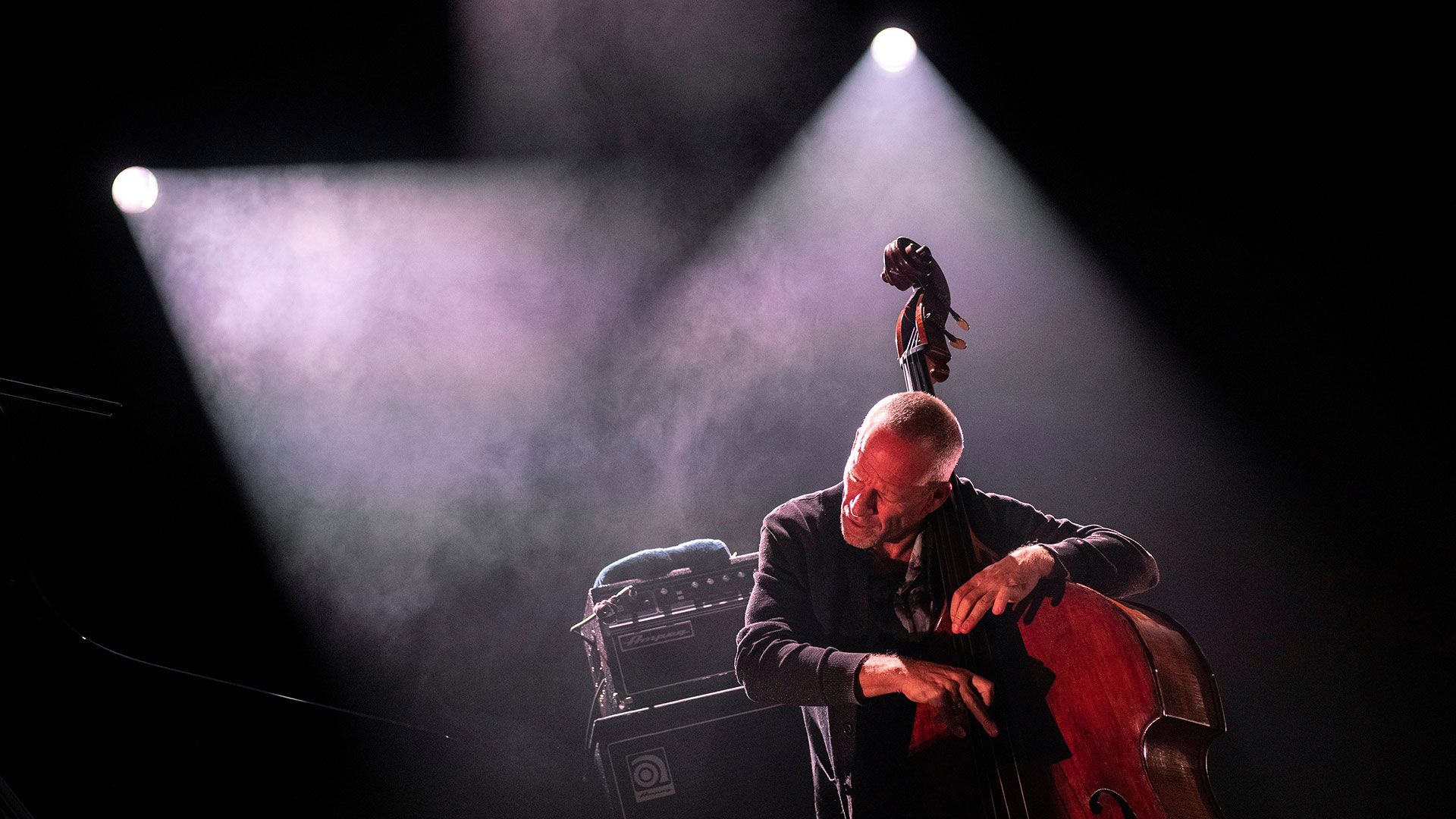 Avishai Cohen Trio