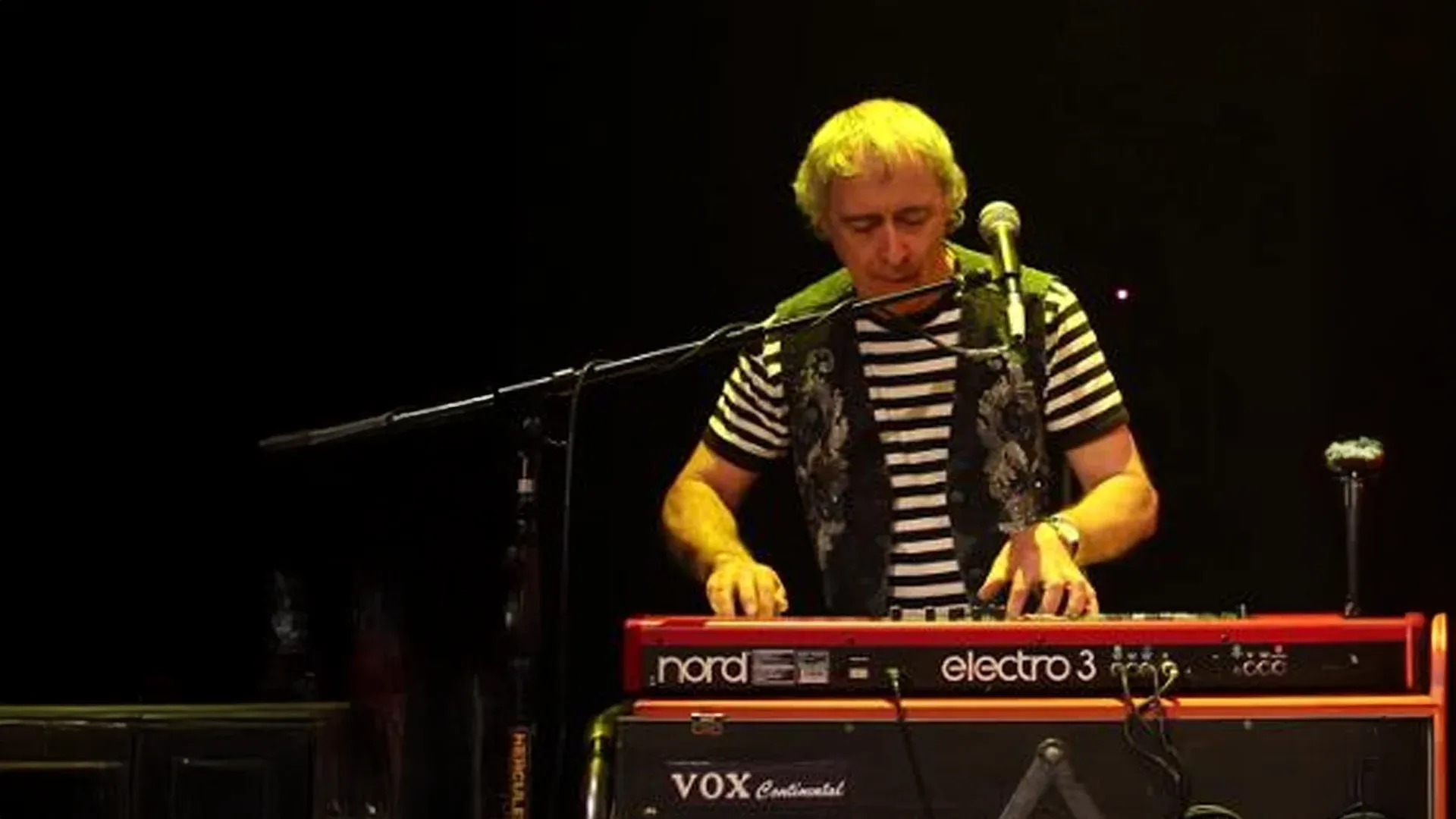 Animal Tracks tributo a The Animals - Viva Live @ InOut